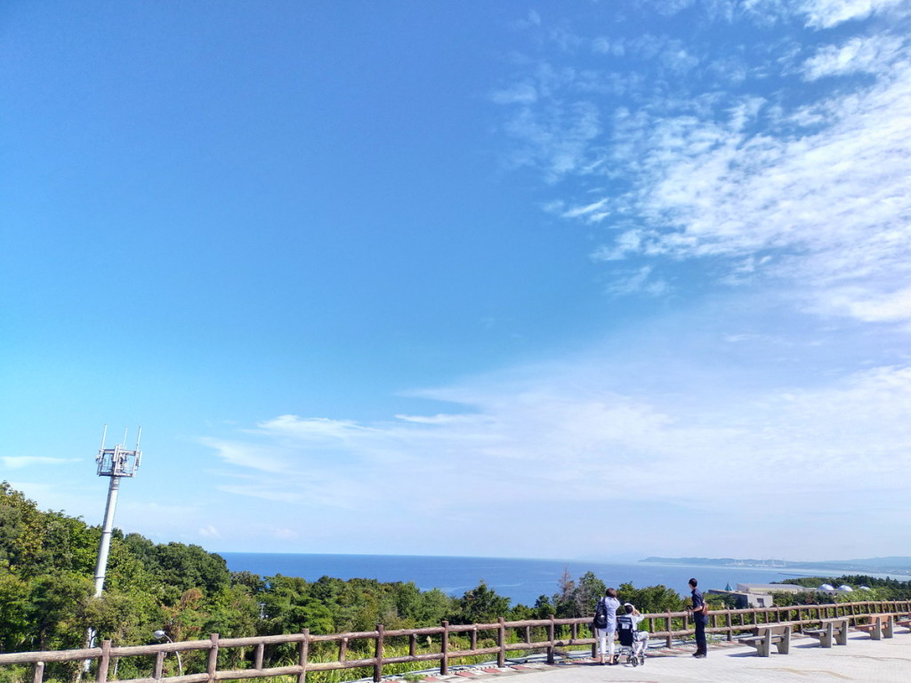 OPPO2020A_20230909092632　　トイレ休憩時、高速道路米山SA(新潟県柏崎市)で撮影した日本海9時半頃。空も海も青いです。　